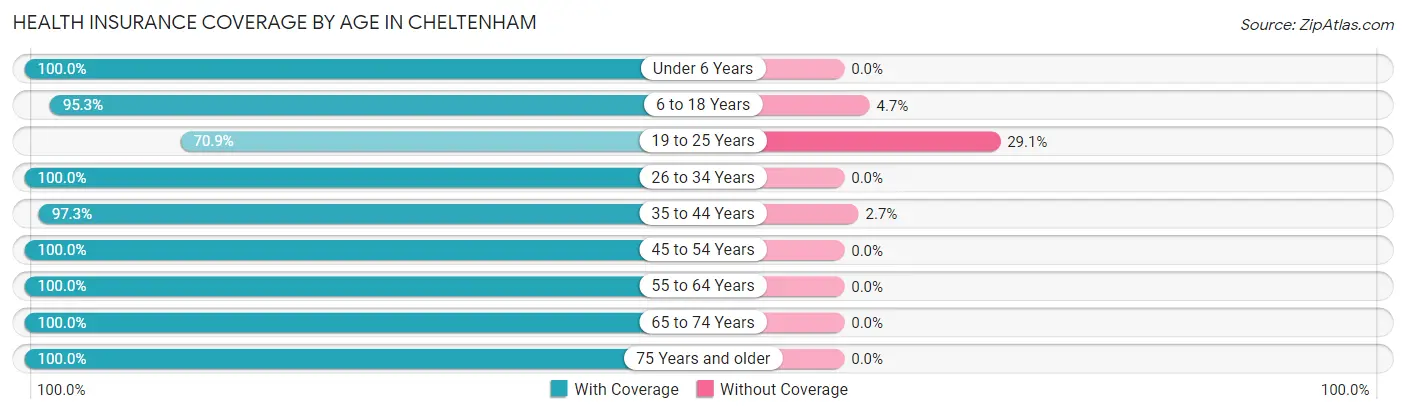 Health Insurance Coverage by Age in Cheltenham