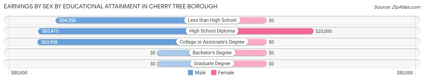 Earnings by Sex by Educational Attainment in Cherry Tree borough