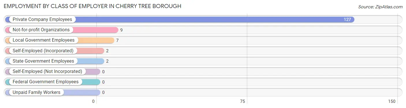 Employment by Class of Employer in Cherry Tree borough