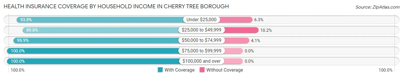 Health Insurance Coverage by Household Income in Cherry Tree borough