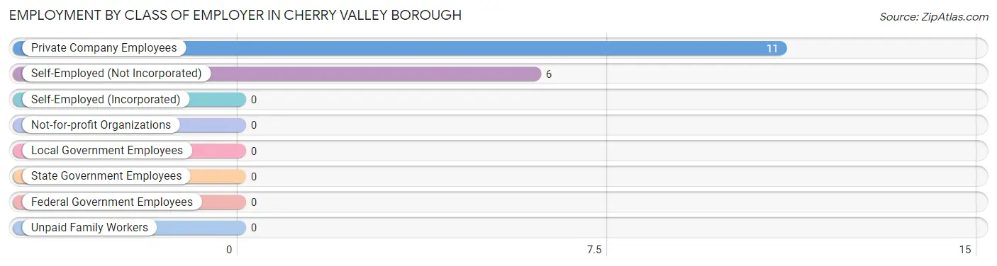 Employment by Class of Employer in Cherry Valley borough