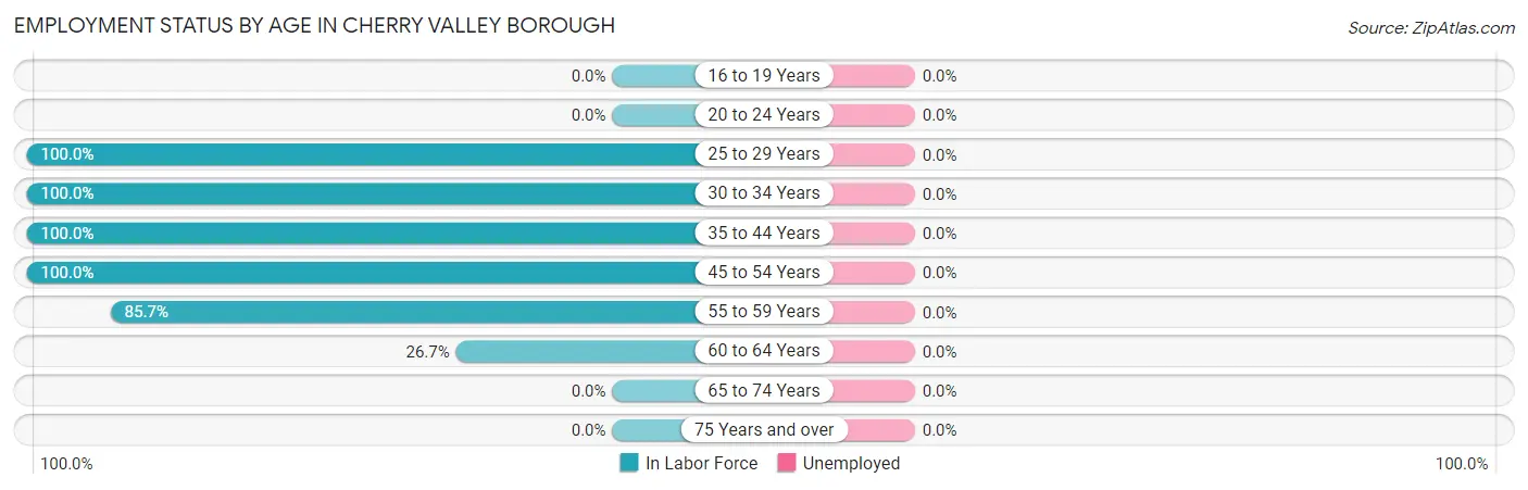 Employment Status by Age in Cherry Valley borough