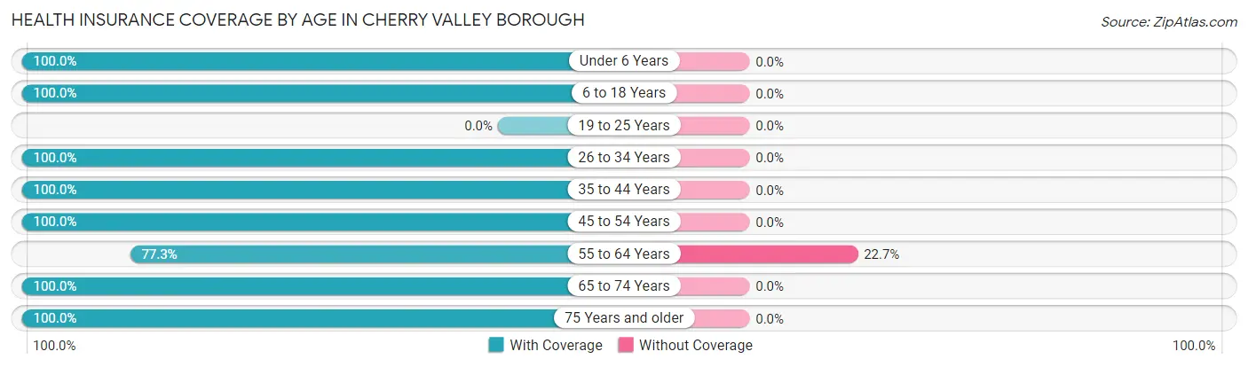 Health Insurance Coverage by Age in Cherry Valley borough