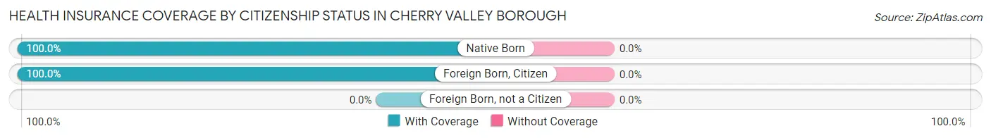 Health Insurance Coverage by Citizenship Status in Cherry Valley borough