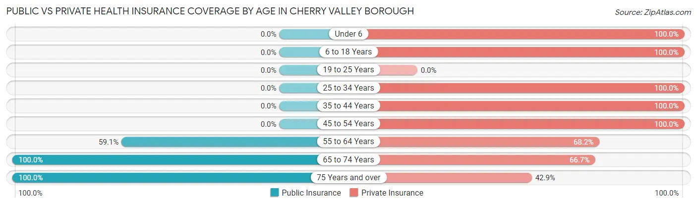 Public vs Private Health Insurance Coverage by Age in Cherry Valley borough