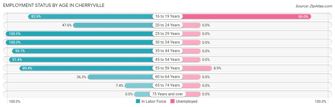 Employment Status by Age in Cherryville