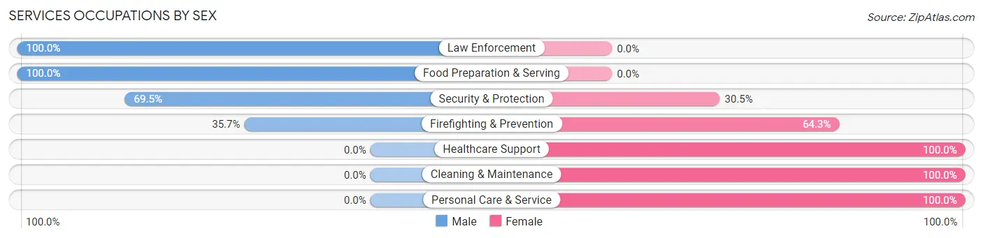 Services Occupations by Sex in Chester Heights borough
