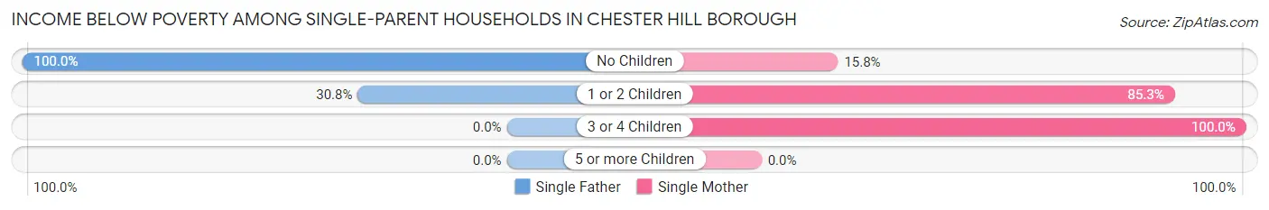 Income Below Poverty Among Single-Parent Households in Chester Hill borough