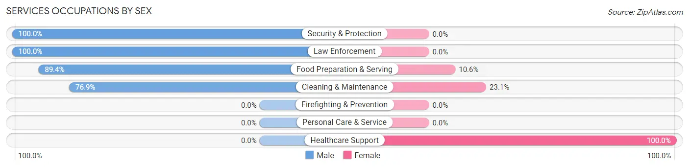 Services Occupations by Sex in Chester Hill borough