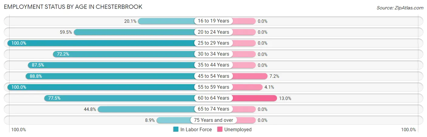 Employment Status by Age in Chesterbrook