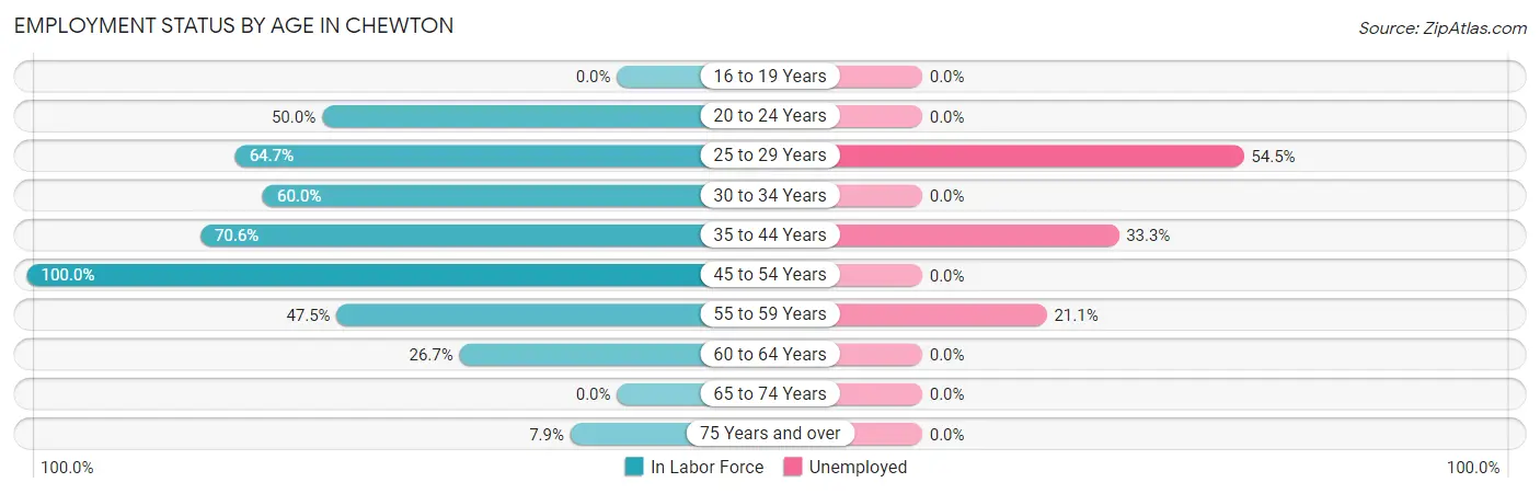 Employment Status by Age in Chewton