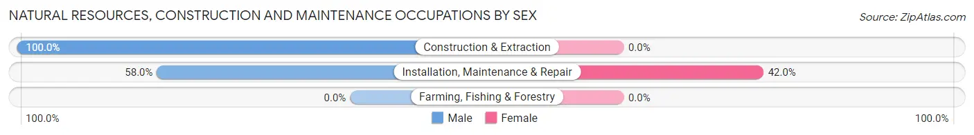 Natural Resources, Construction and Maintenance Occupations by Sex in Clifton Heights borough