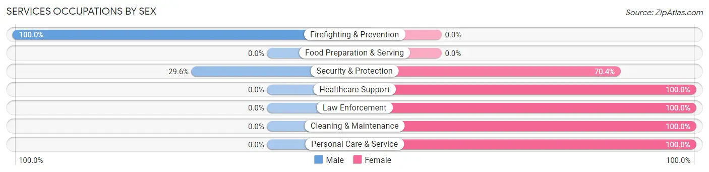 Services Occupations by Sex in Clintonville borough