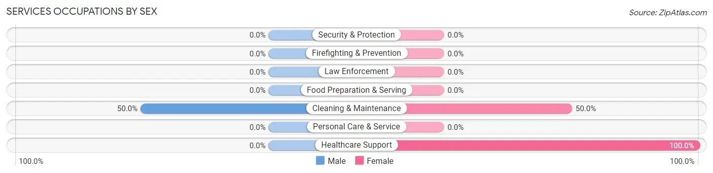 Services Occupations by Sex in Coaldale borough Bedford County
