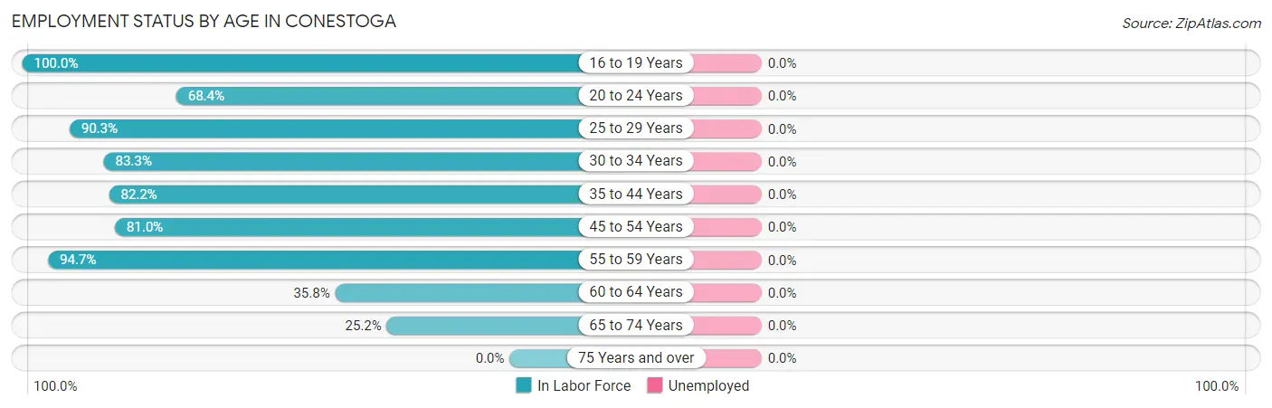 Employment Status by Age in Conestoga