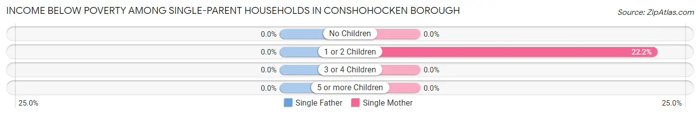 Income Below Poverty Among Single-Parent Households in Conshohocken borough