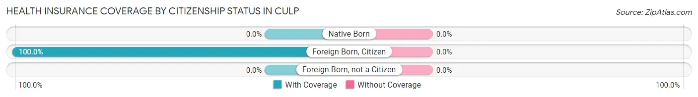 Health Insurance Coverage by Citizenship Status in Culp