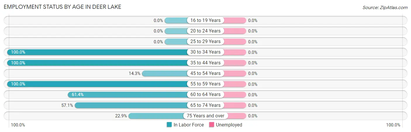 Employment Status by Age in Deer Lake