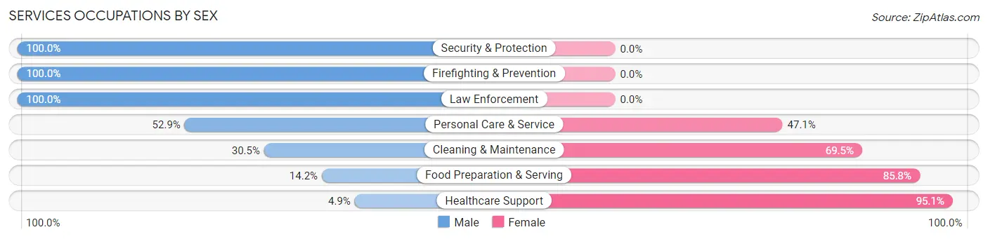 Services Occupations by Sex in Donora borough