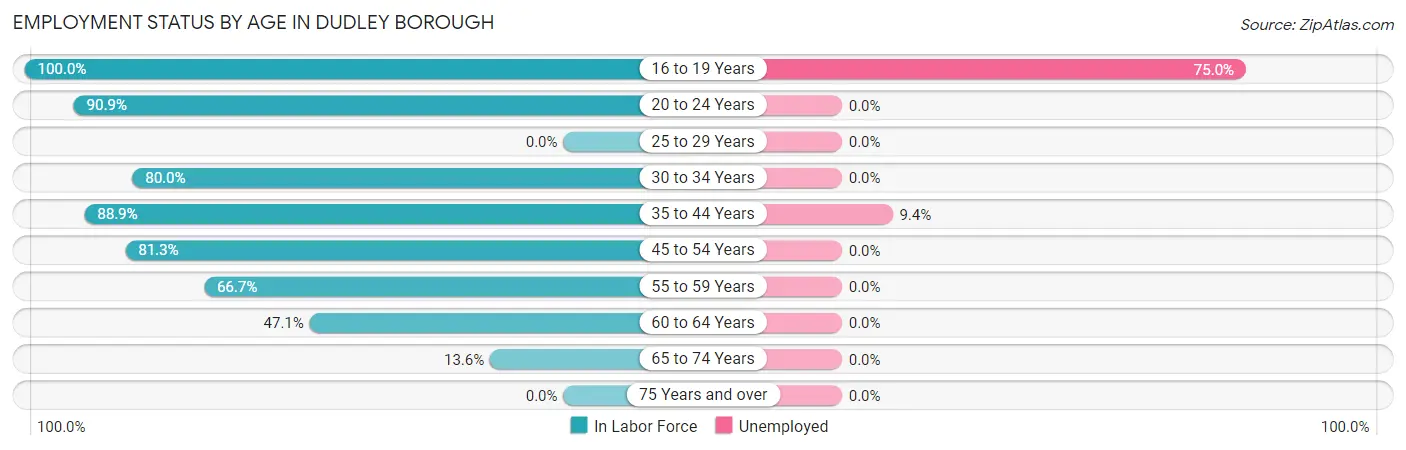 Employment Status by Age in Dudley borough