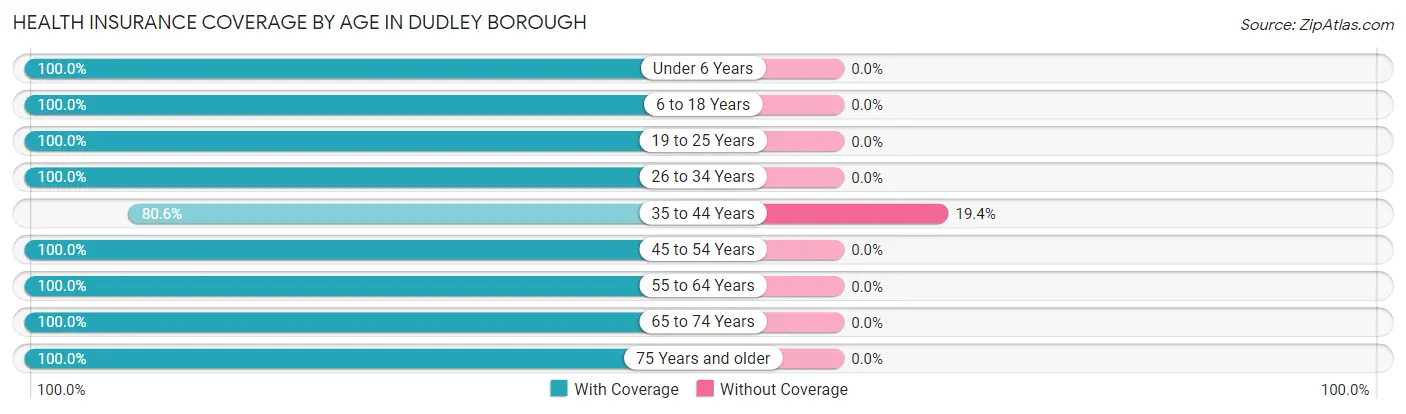 Health Insurance Coverage by Age in Dudley borough
