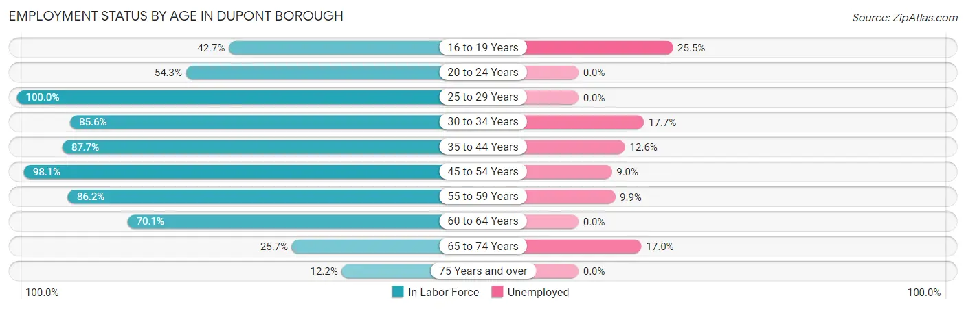 Employment Status by Age in Dupont borough