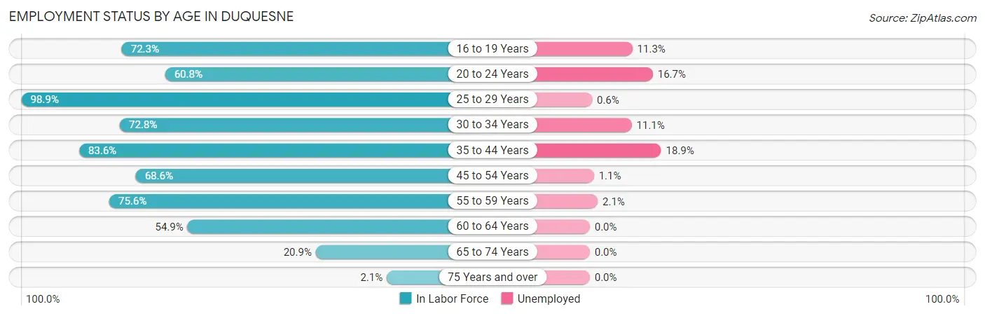 Employment Status by Age in Duquesne