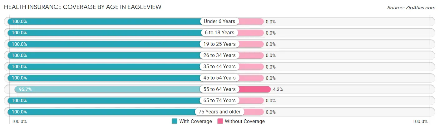 Health Insurance Coverage by Age in Eagleview