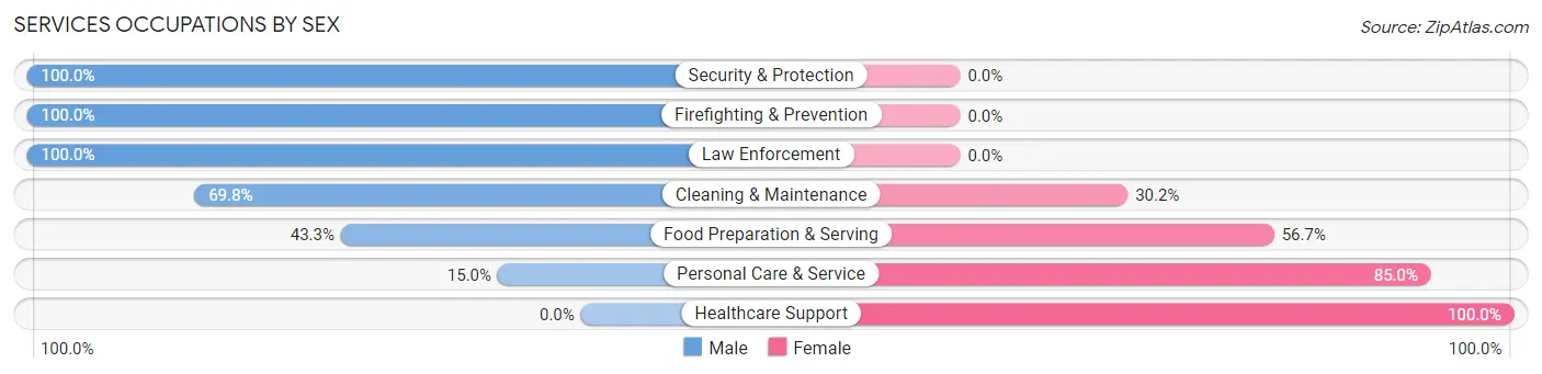 Services Occupations by Sex in East Berlin borough