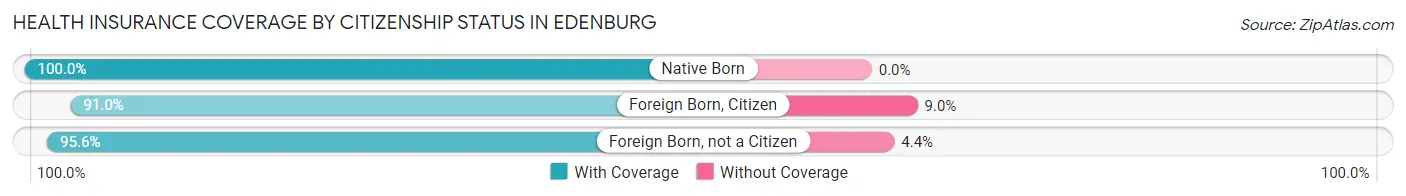 Health Insurance Coverage by Citizenship Status in Edenburg