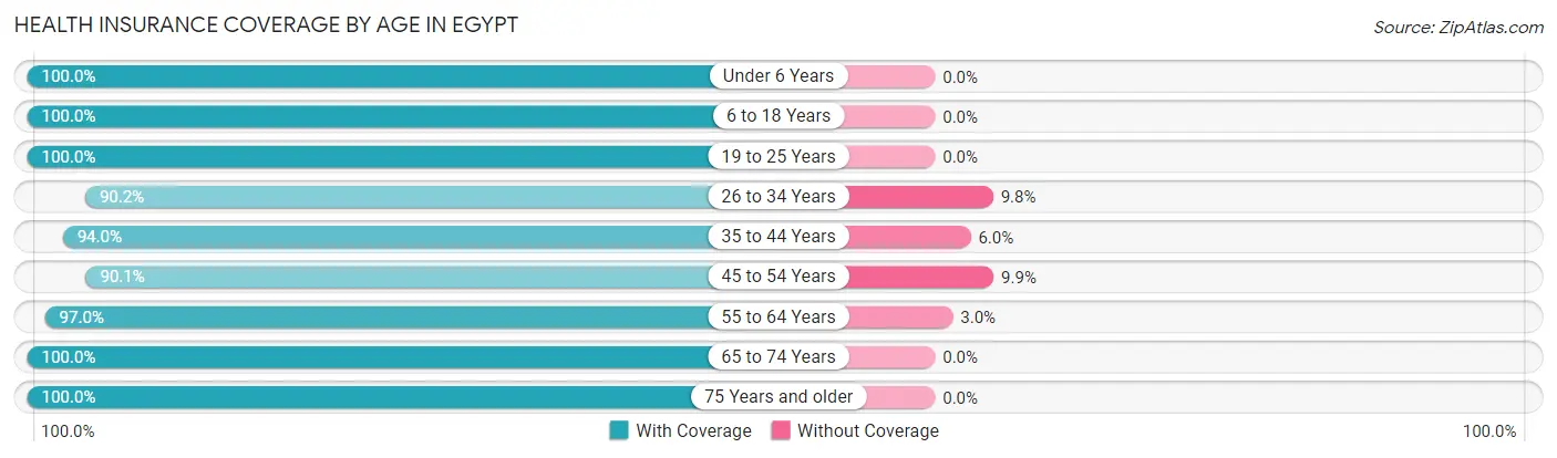 Health Insurance Coverage by Age in Egypt