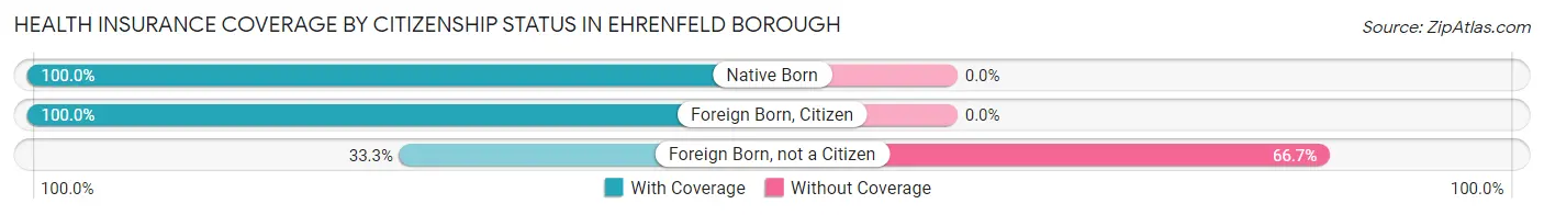 Health Insurance Coverage by Citizenship Status in Ehrenfeld borough