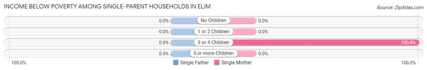 Income Below Poverty Among Single-Parent Households in Elim