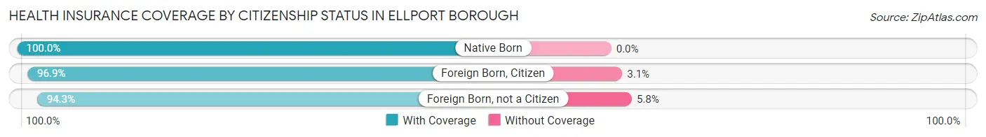 Health Insurance Coverage by Citizenship Status in Ellport borough