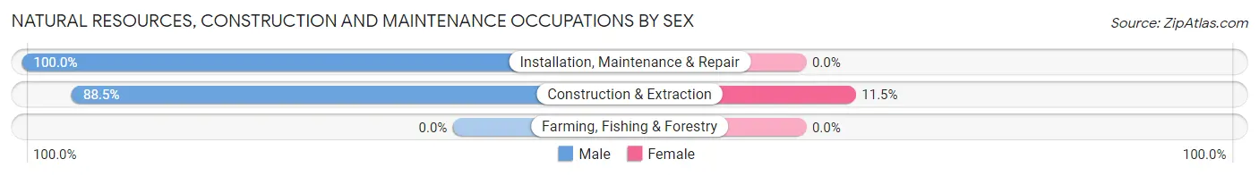 Natural Resources, Construction and Maintenance Occupations by Sex in Ellport borough
