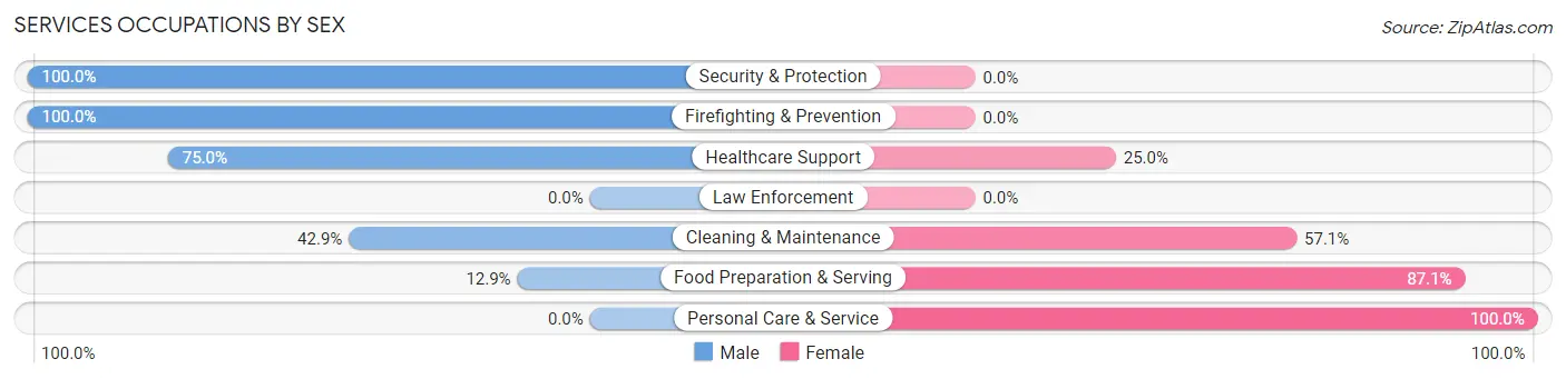 Services Occupations by Sex in Ellport borough