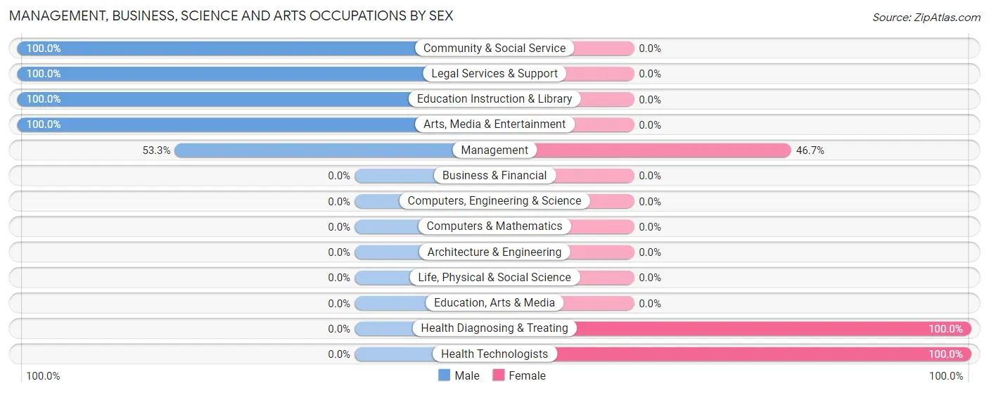 Management, Business, Science and Arts Occupations by Sex in Ellsworth borough
