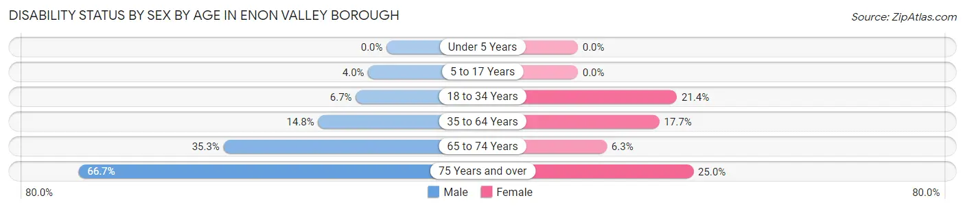 Disability Status by Sex by Age in Enon Valley borough
