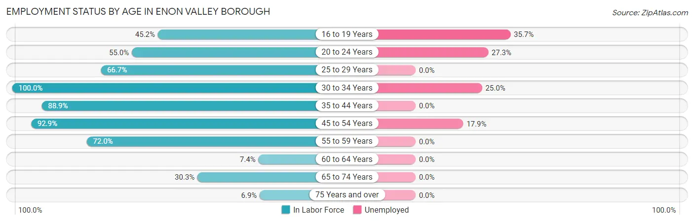 Employment Status by Age in Enon Valley borough
