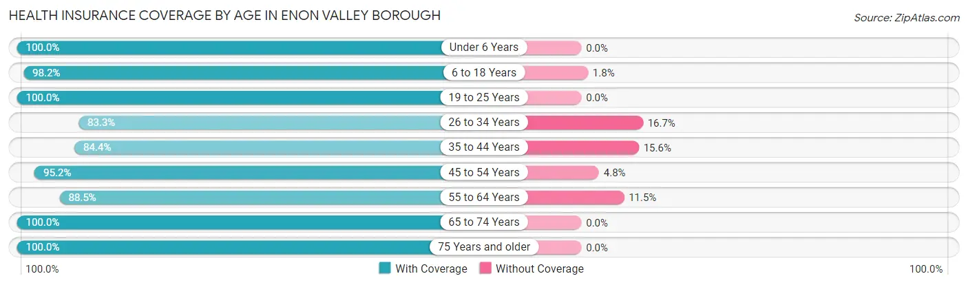 Health Insurance Coverage by Age in Enon Valley borough