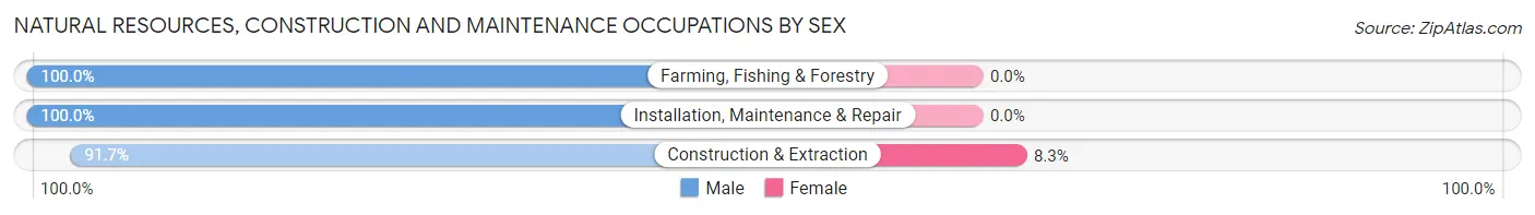 Natural Resources, Construction and Maintenance Occupations by Sex in Enon Valley borough
