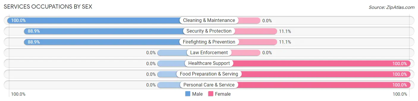 Services Occupations by Sex in Enon Valley borough