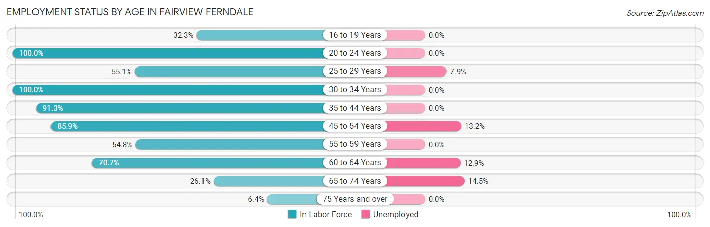 Employment Status by Age in Fairview Ferndale