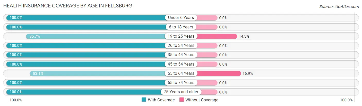 Health Insurance Coverage by Age in Fellsburg