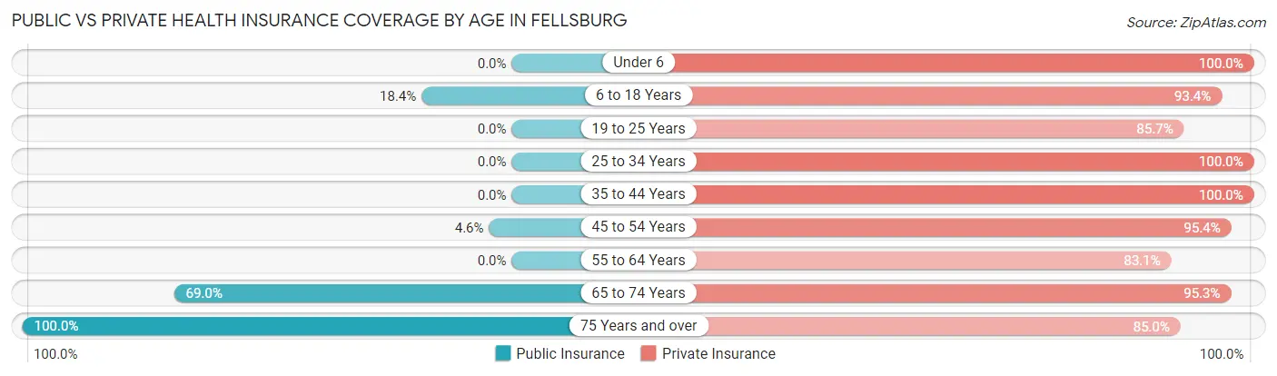 Public vs Private Health Insurance Coverage by Age in Fellsburg