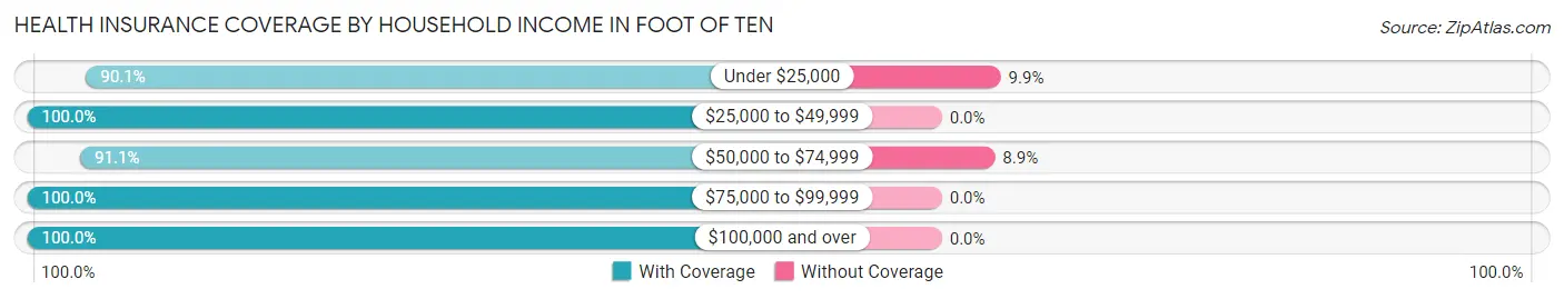 Health Insurance Coverage by Household Income in Foot of Ten