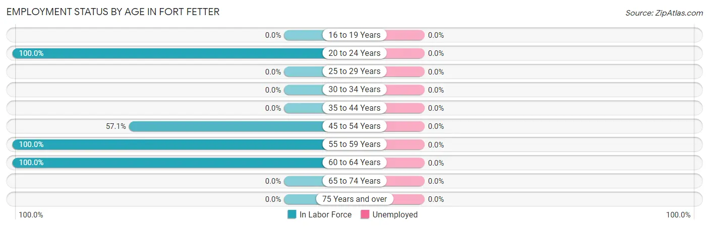Employment Status by Age in Fort Fetter