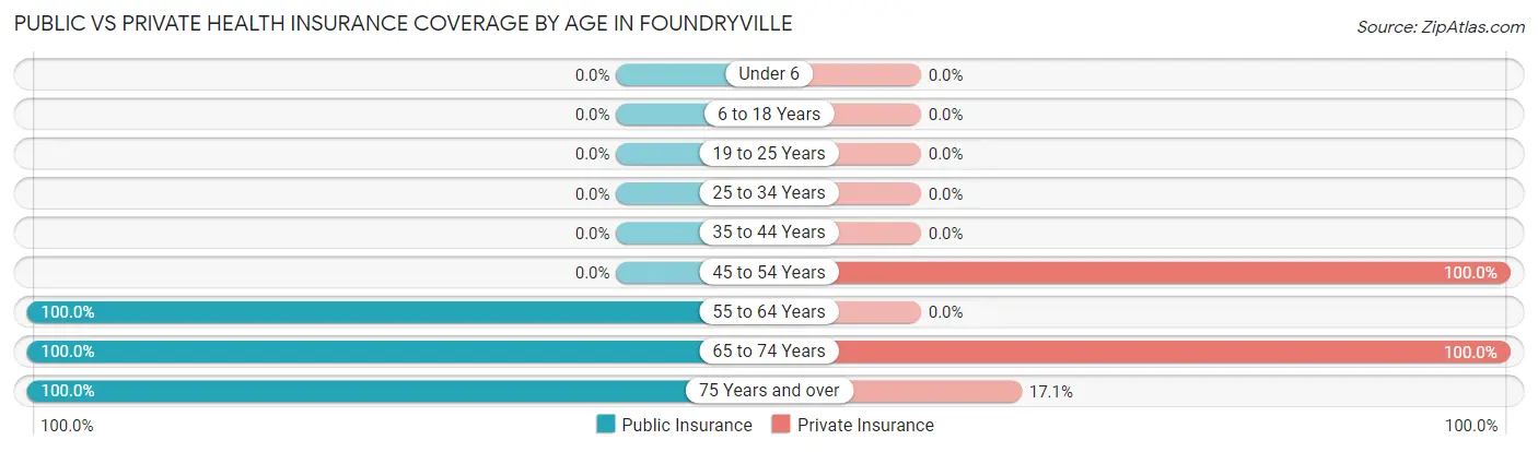 Public vs Private Health Insurance Coverage by Age in Foundryville