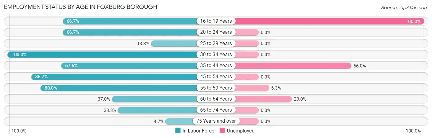 Employment Status by Age in Foxburg borough