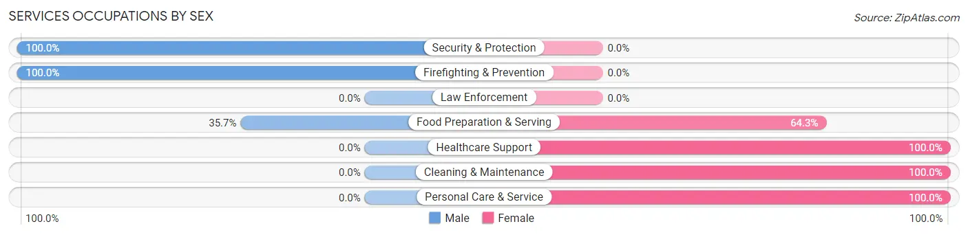 Services Occupations by Sex in Freeport borough